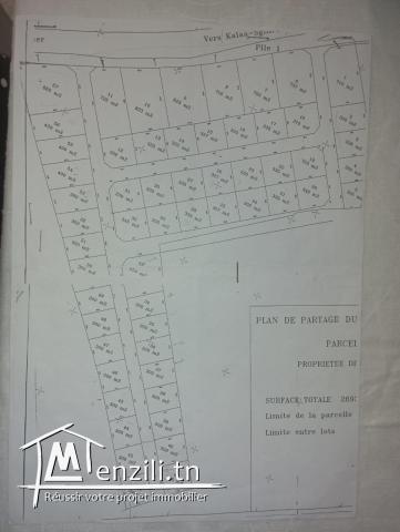 Terrain- BELLE OCCASION ☺️