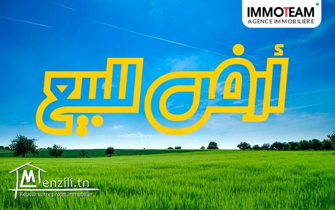 A ______ VENDRE Un bel terrain à Hammamet