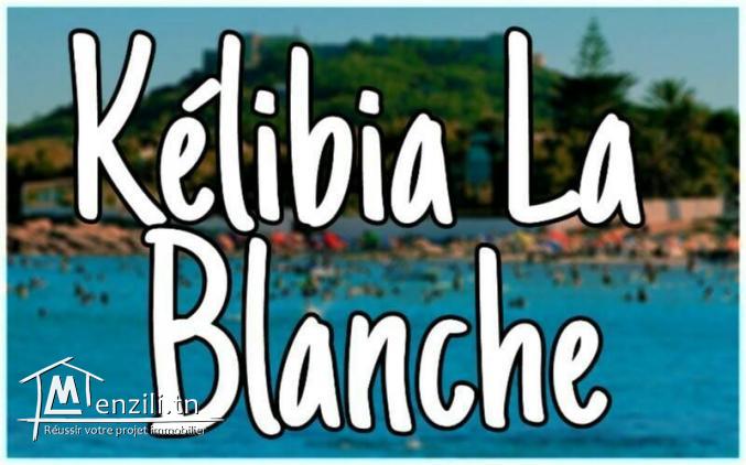 Terrain à 2 min à pied dans le lotissement Kélibia La Blanche