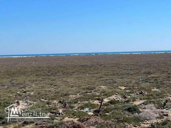 Terrain a vendre 4km de yassmin hammamet