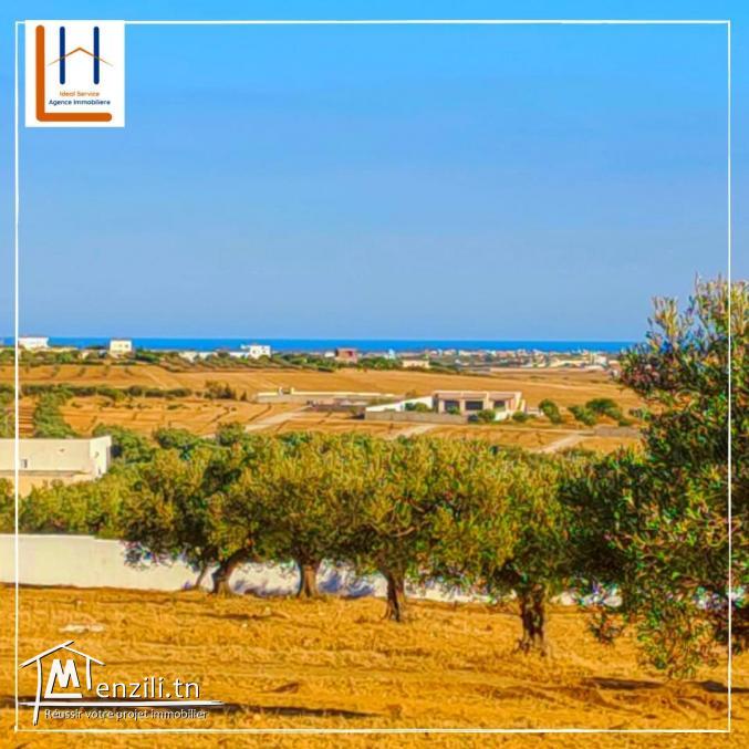 Terrain a vendre 7km de yassmin hammamet