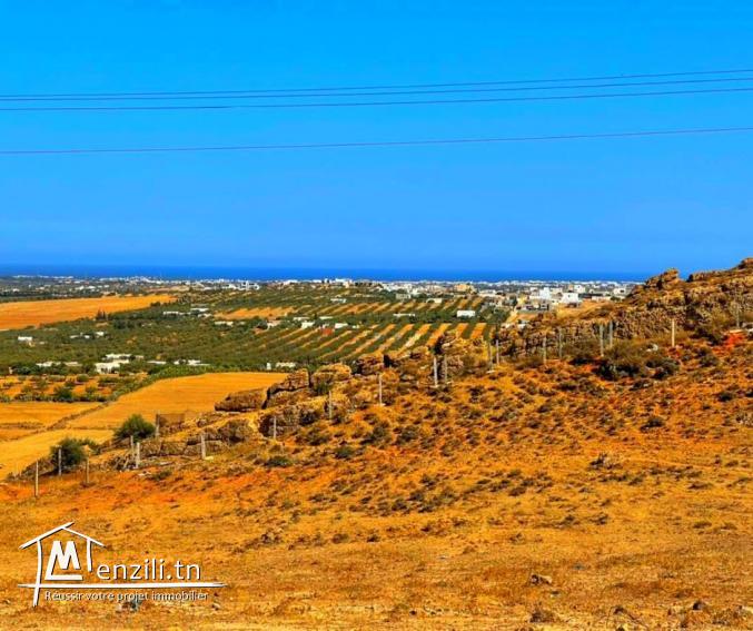 terrain a vendre a monchar yasmine hammamet profitez et soyez les bienvenues a notre agence