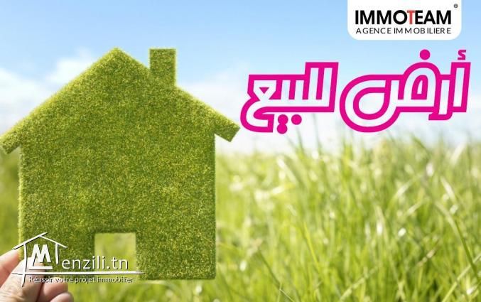A vendre un terrain à 3 minutes de  Jinen Hammamet
