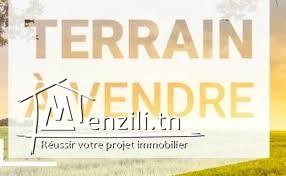 أرض للبيع بهرقلة