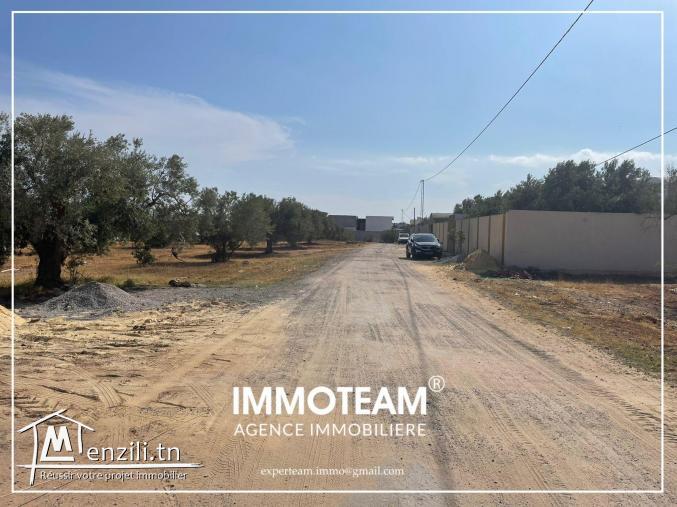 A vendre un terrain de 584m² à Hammamet sud