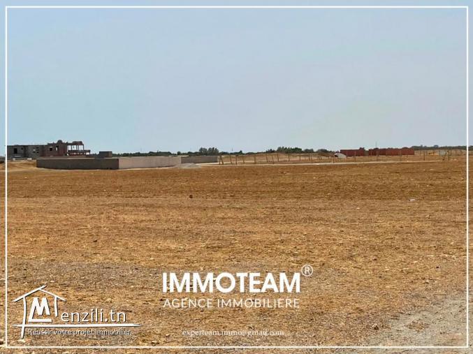 A vendre un terrain à 3km de Jinen Hammamet