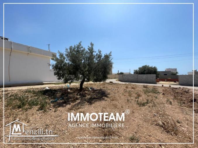 A vendre un terrain de 2500 m2 à Hammamet sud
