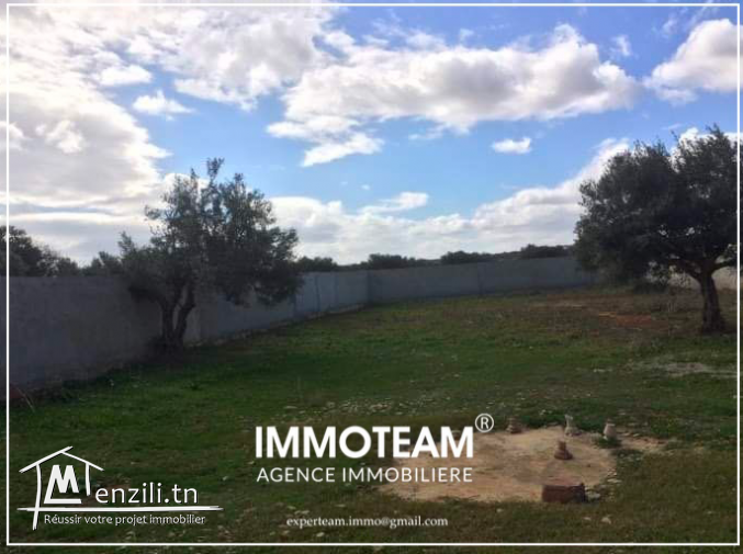 A vendre un terrain de 1280 m2 à Hammamet sud