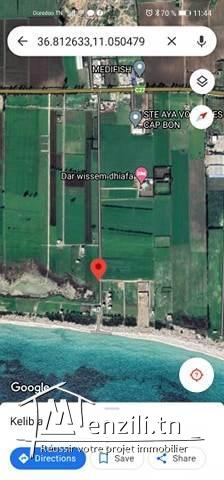 terrain a plage dheroua