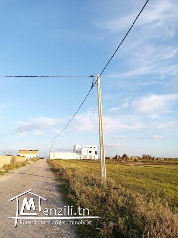 terrain a plage dheroua