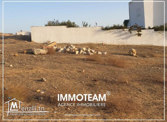 A vendre un terrain de 600 m2 à Hammamet sud