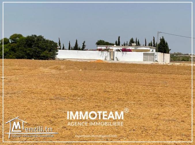 Terrain à vendre d'une superficie parfaite 29256234