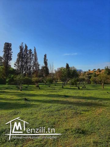 A vendre terrain Agricole