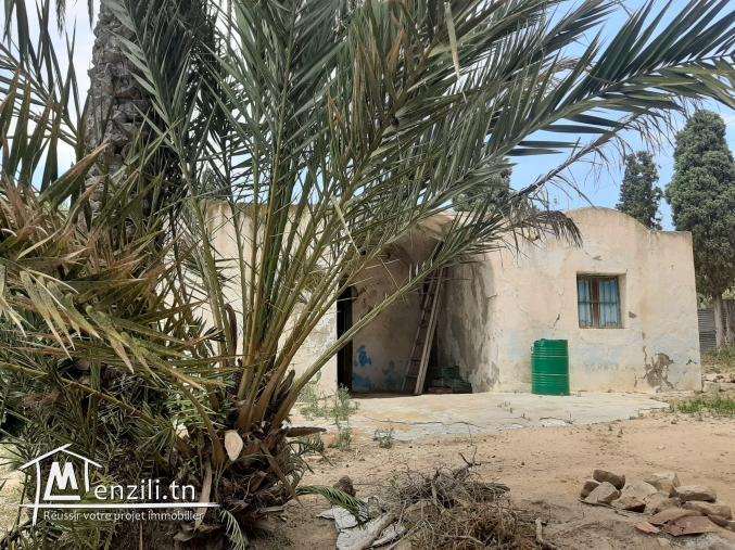 A vendre terrain Agricole