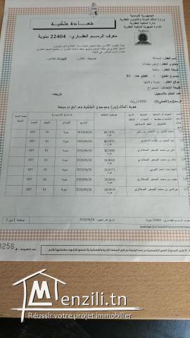 Terrain à vendre  avec titre foncier individuel à chebaw Oued ellil