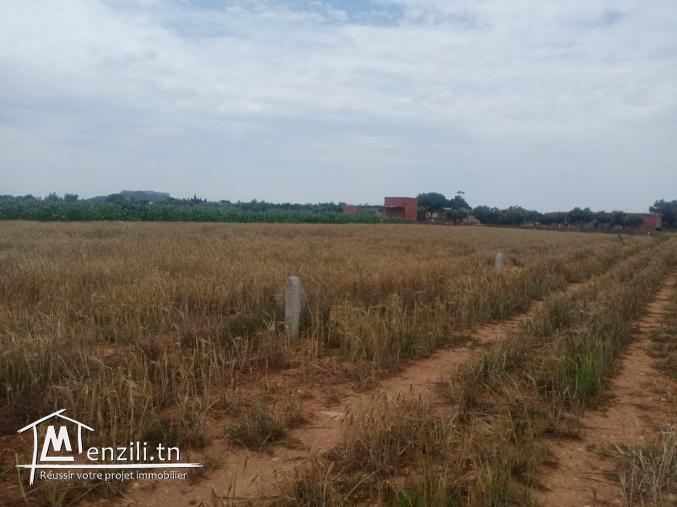 un terrain à kélibia hammam el ghezzaz