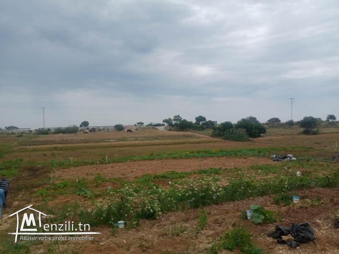 un terrain à kélibia hammam el ghezzaz