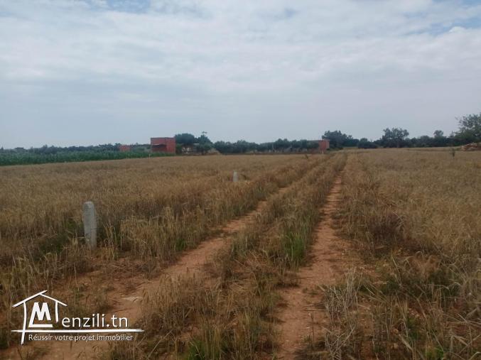 un terrain à kélibia hammam el ghezzaz