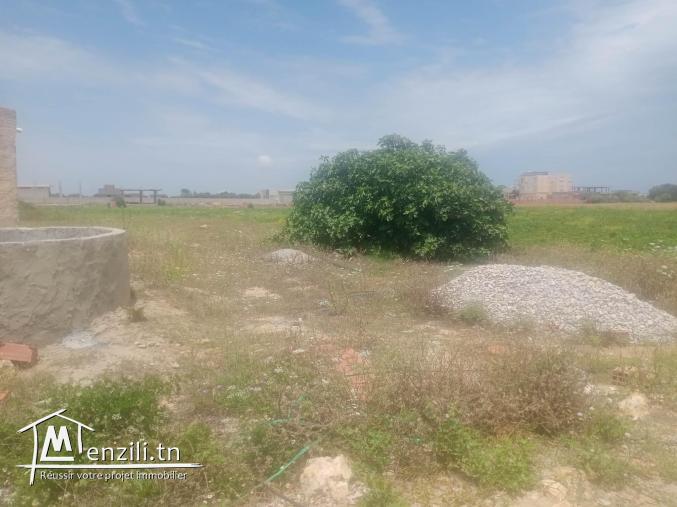terrain a plage kerkouane