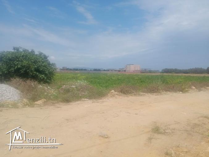 terrain a plage kerkouane