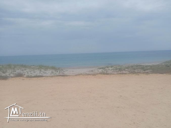 terrain a plage kerkouane