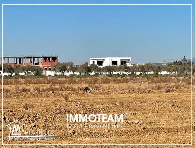 Terrain à vendre d'une superficie parfaite 29256234