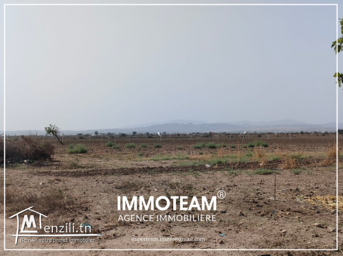 un superbe  terrain  vue sur  mer  de 1503