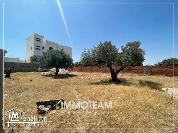 A vendre un  superbe terrain AU 28256015