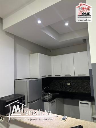 S1 Theo meublé à Louer Aux Jardins de Carthage