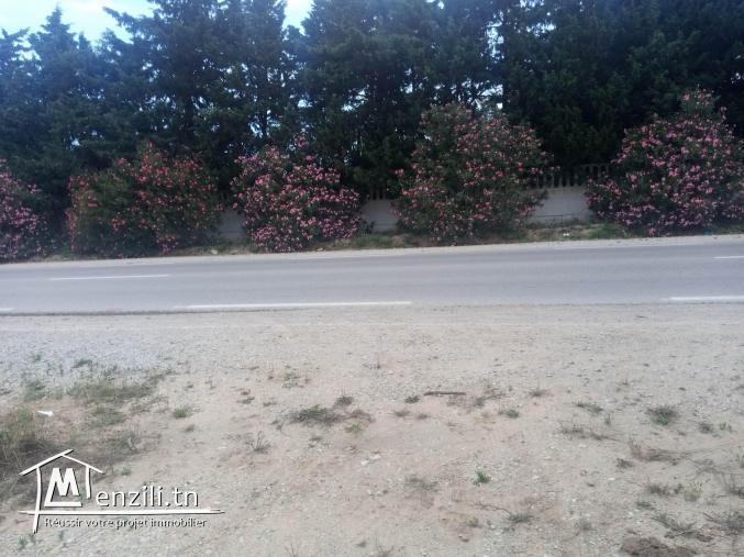 terrain agricole a dar allouche