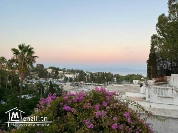 villa carthage hannibal