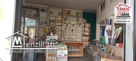 Local Karl à Louer Aux Berges du Lac 3