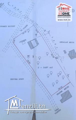 Terrain Agricole Chabia à Vendre à Midoun, Djerba