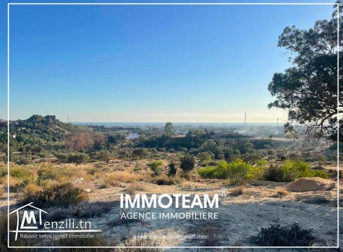 A VENDRE Un bel  terrain de 1000 m2