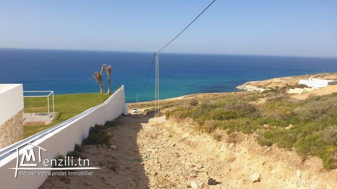 BEAU TERRAIN A CAPZBIB