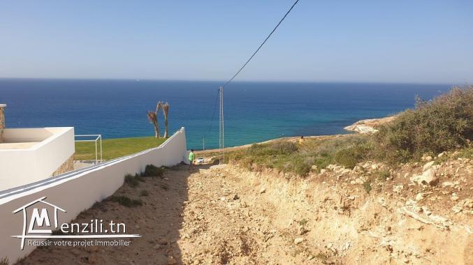 BEAU TERRAIN A CAPZBIB