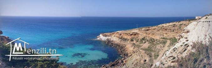 BEAU TERRAIN A CAPZBIB