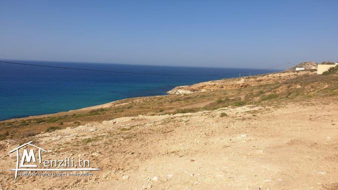 BEAU TERRAIN A CAPZBIB