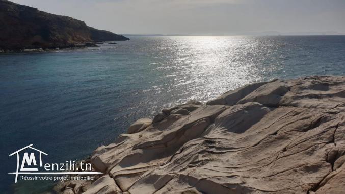 BEAU TERRAIN A CAPZBIB