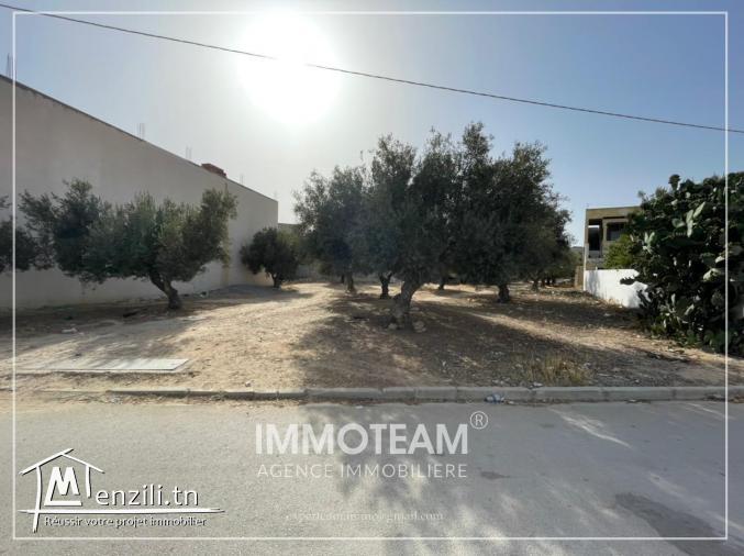 A VENDRE Un terrain à Mrezga Hammamet nord