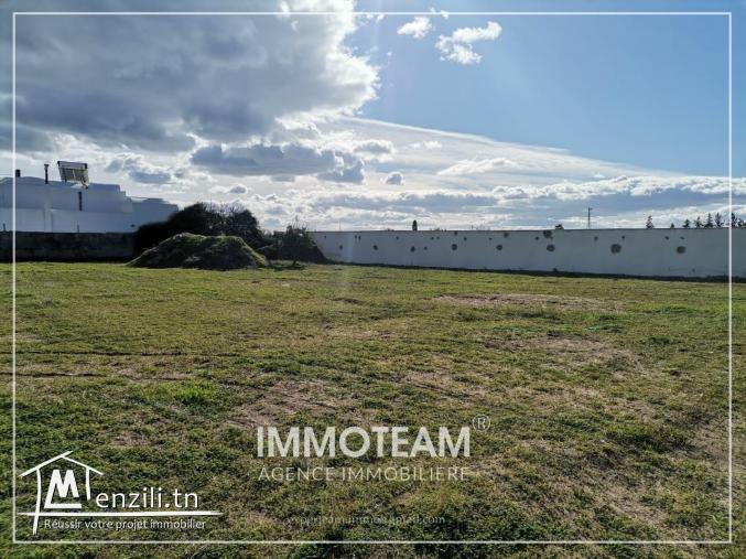 A VENDRE Un Ideal  terrain à Hammamet