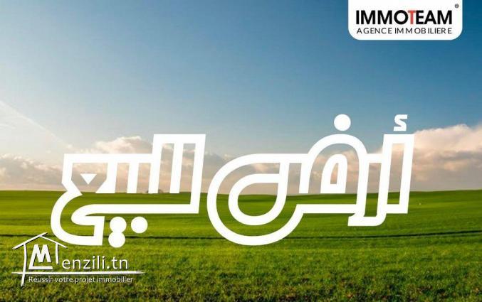 A VENDRE Un terrain Cité N