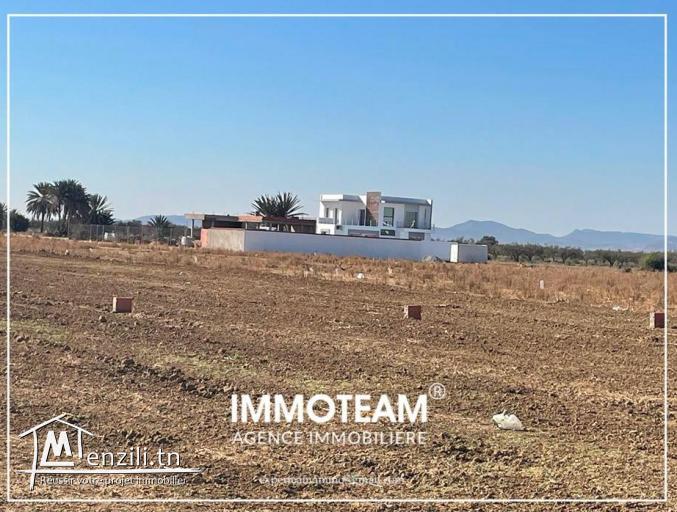 A VENDRE Un terrain de 955 m2 à Hammamet sud