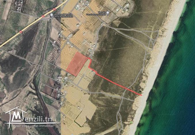 terrain à vendre de 300 m2