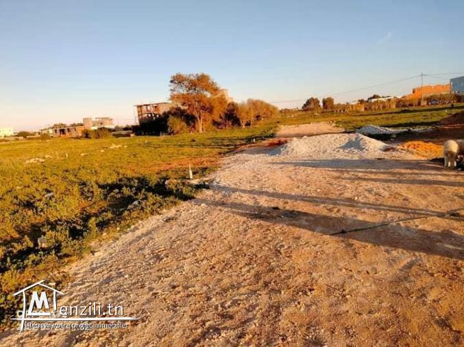 terrain a dar allouche kelibia