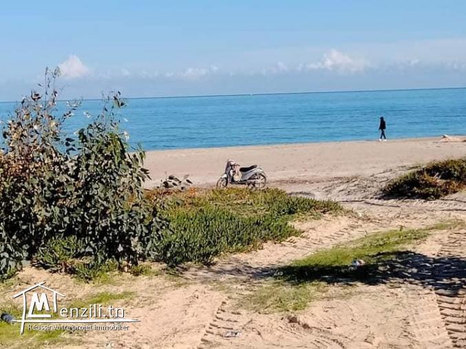 terrain a dar allouche kelibia