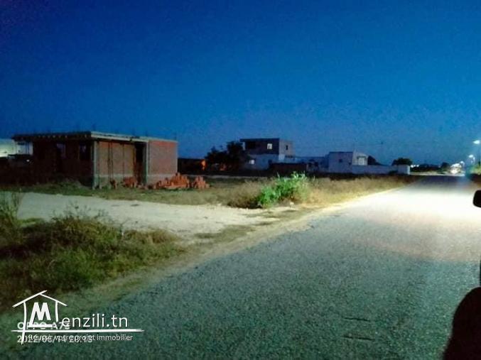 terrain a dar allouche kelibia