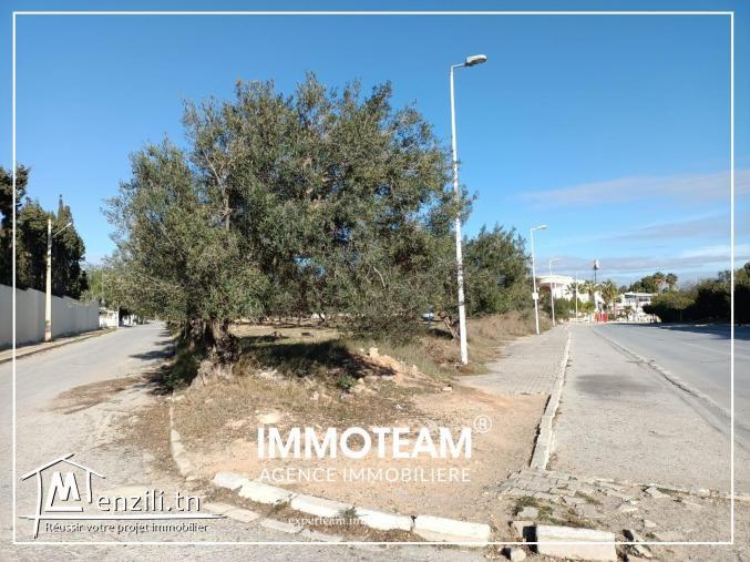 terrain de 6000 m2 à vendre