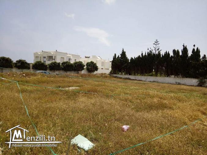 à vendre terrains en kelibia