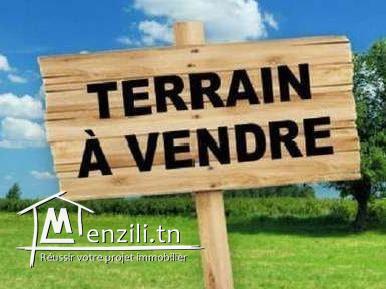 terrain constructible à Corniche Bizerte